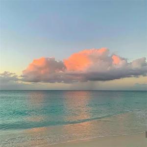 被黑人H强行灌浓精NP
