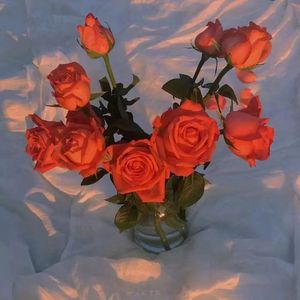 被黑人H强行灌浓精NP
